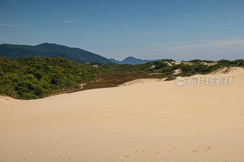 沙丘- florianopolis，巴西。